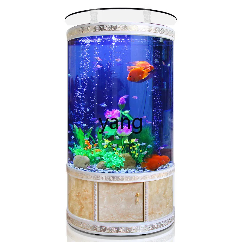 Aquarium Xxl - LTT halbrunder Aquarium-Aquarium, Wohnzimmer, vom Boden