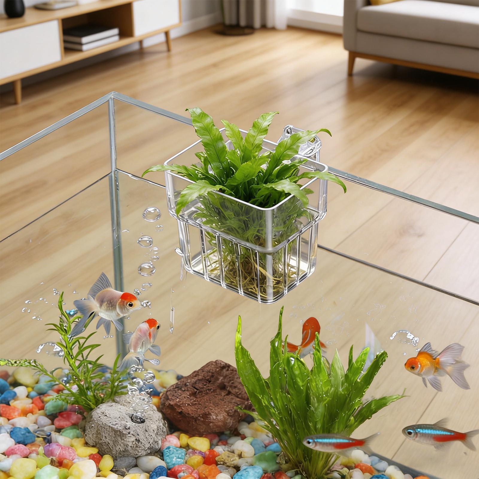 Aquarium Fish Enrichment - Transparenter Hängbarer Aquarium-Pflanzenhalter für Fischbecken Hydroponisches