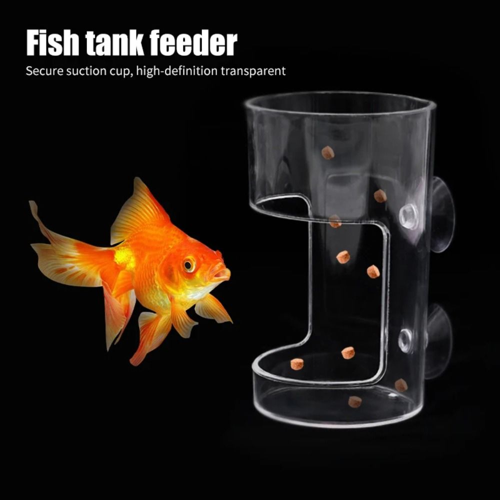 Aquarium Fish Feeder - Acryl-Aquarium-Futterring Transparenter Futterspender mit Fixpunkt für
