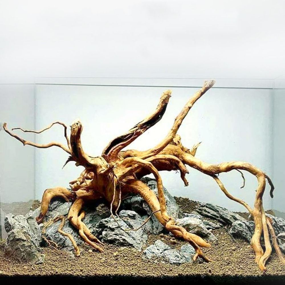 Aquarium Xxl - 20-25CM Großes Aquarium-Treibholz, Natürliche Fischbecken-Pflanzendekoration, Baumstumpf