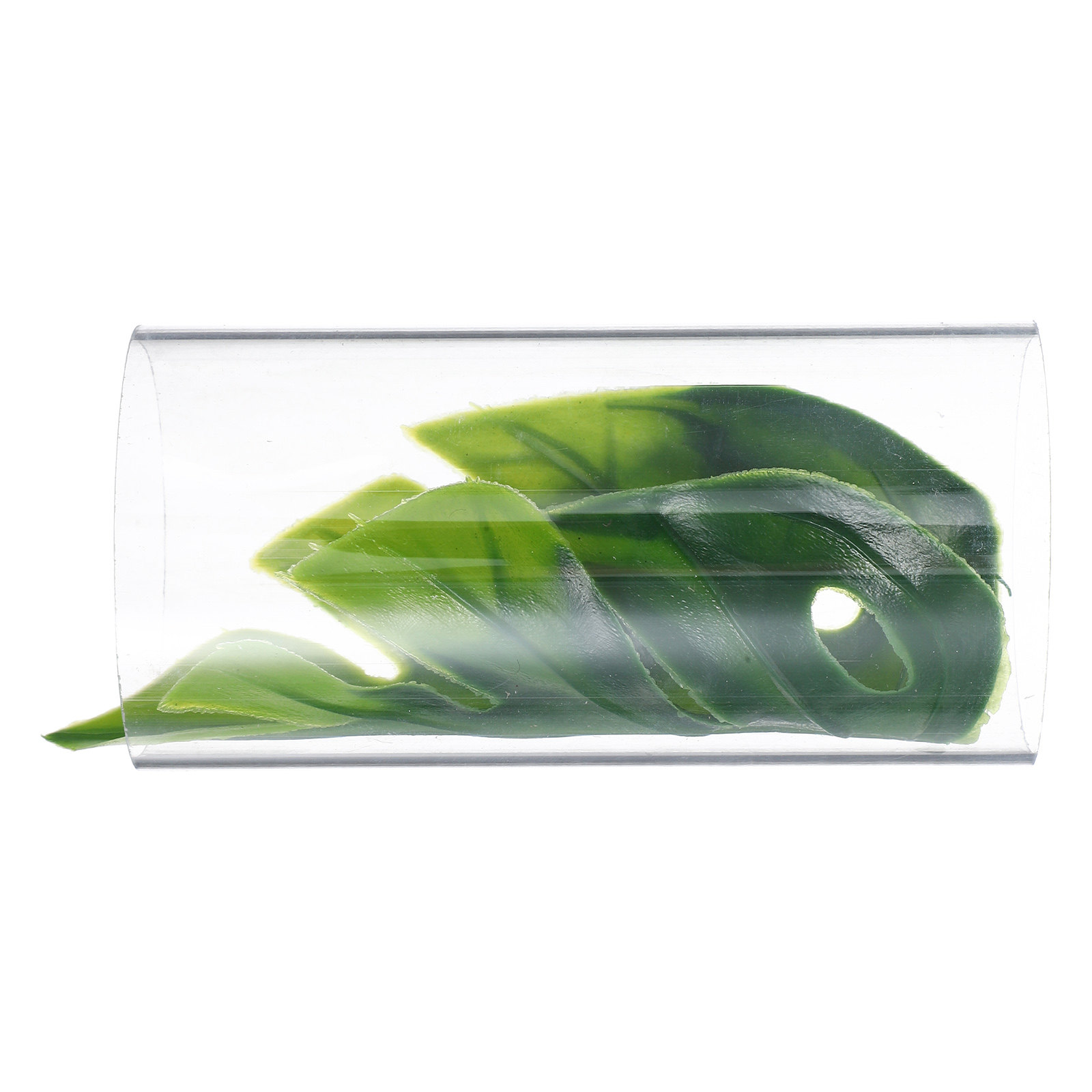 Fish Aquarium Youtube Relaxing - Transparenter Tunnel für Betta-Fische, Ruhe- und