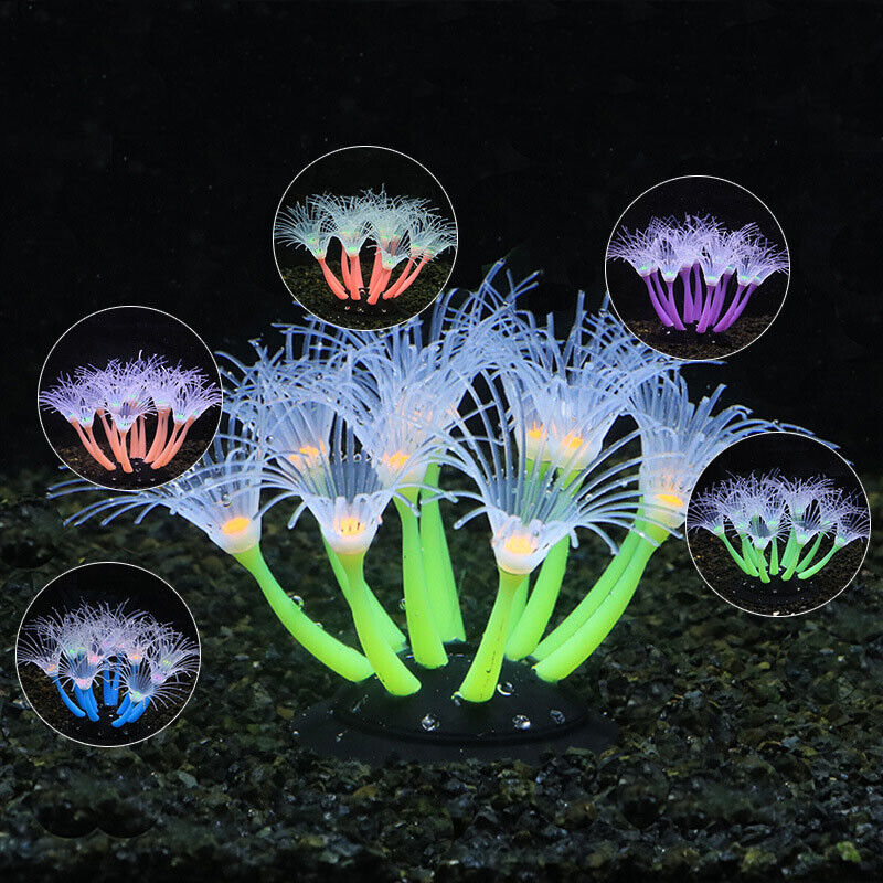 Leuchtende Silikon-Korallen un – Aquarium Fish Enrichment Bewertung und Preis