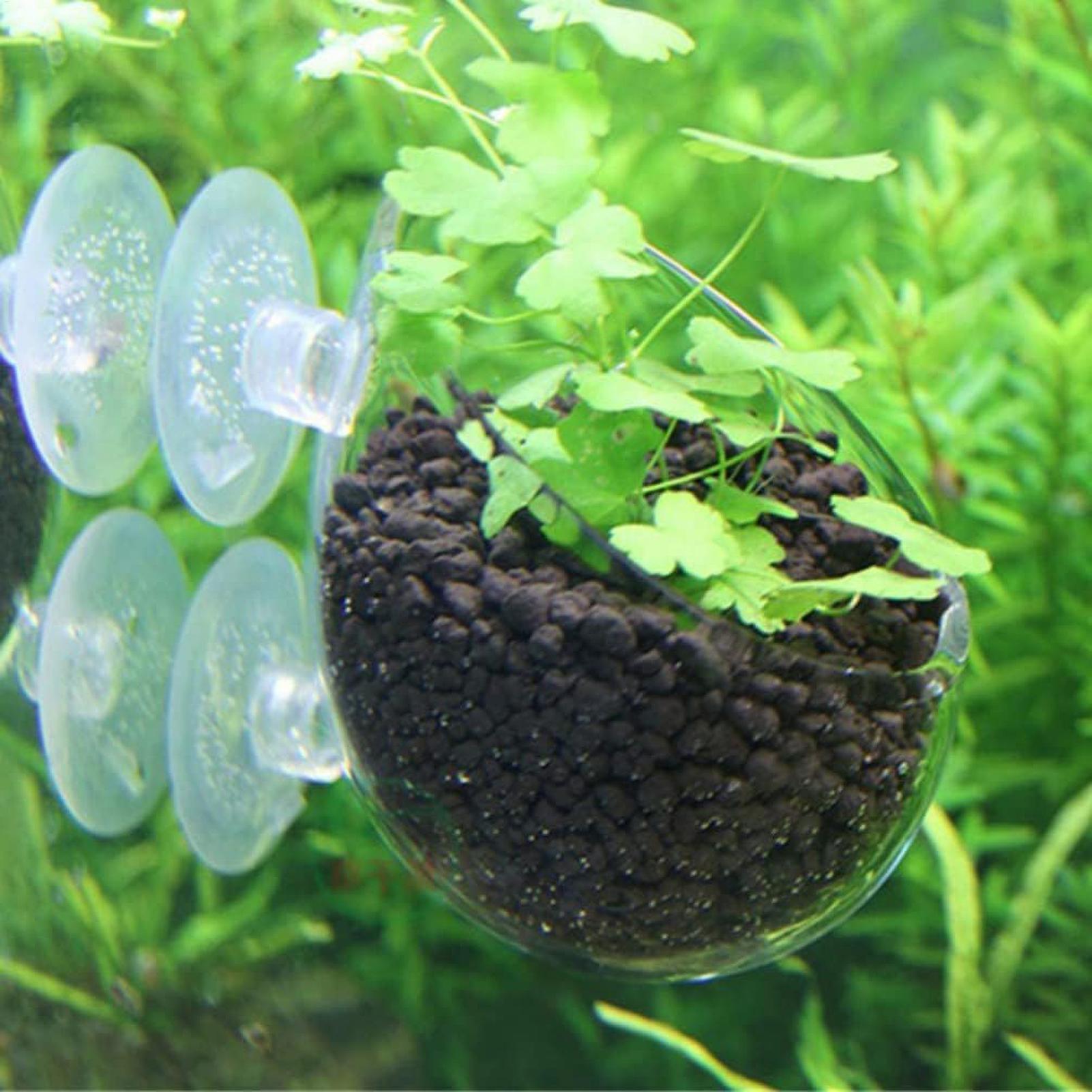 Aquarium-Pflanzenhalter Glas-W – Aquarium Fish Enrichment Bewertung und Preis
