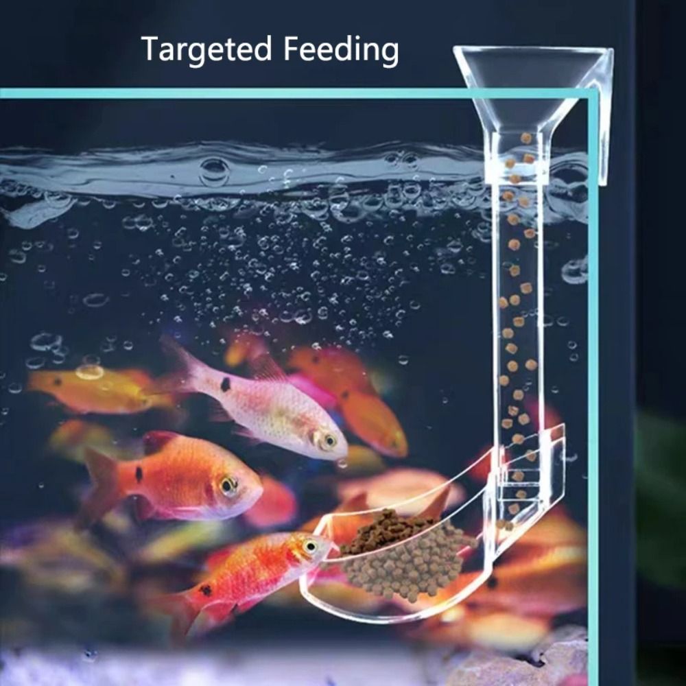 Transparenter Futterspender fü – Aquarium Fish Feeder Bewertung und Preis