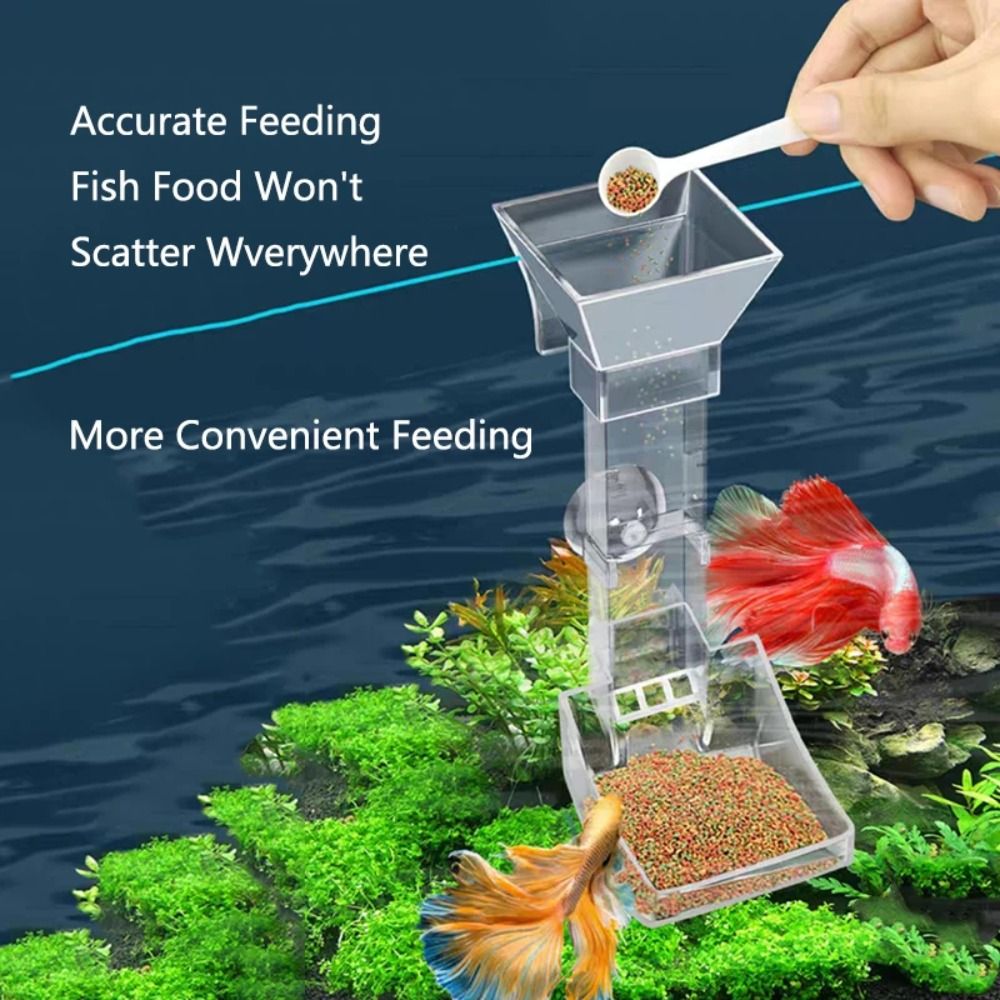 Transparenter Futterspender fü – Aquarium Fish Feeder Bewertung und Preis