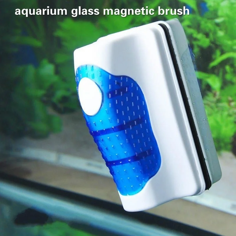 Aquarium Glas Schaber Reiniger – Aquarium Fish Diseases Bewertung und Preis