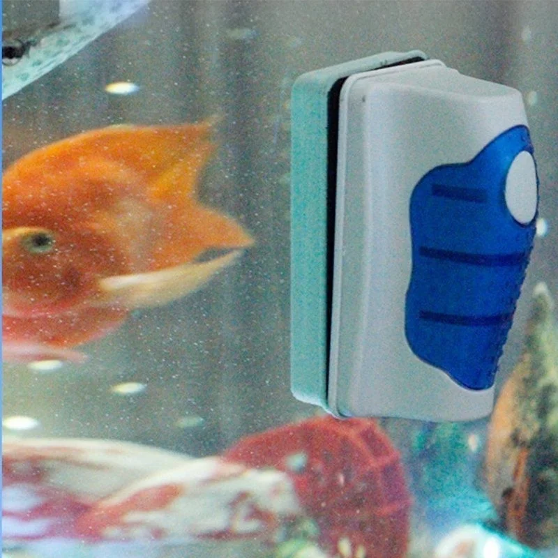 Aquarium Glas Schaber Reiniger – Aquarium Fish Diseases Bewertung und Preis