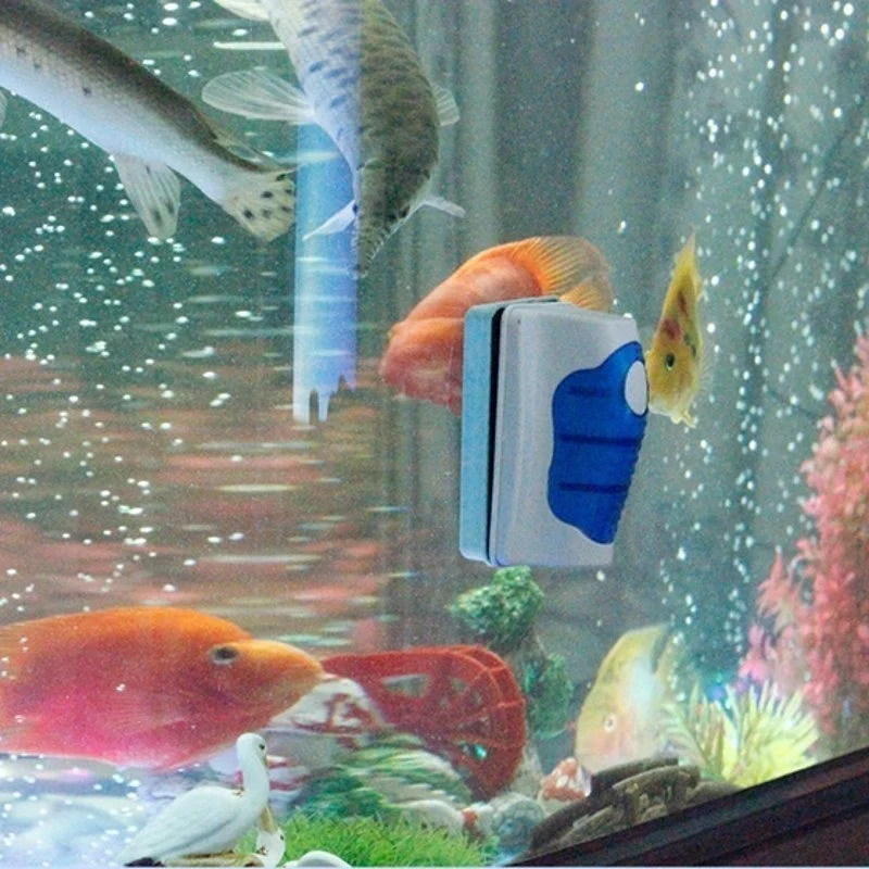 Aquarium Glas Schaber Reiniger – Aquarium Fish Diseases Bewertung und Preis