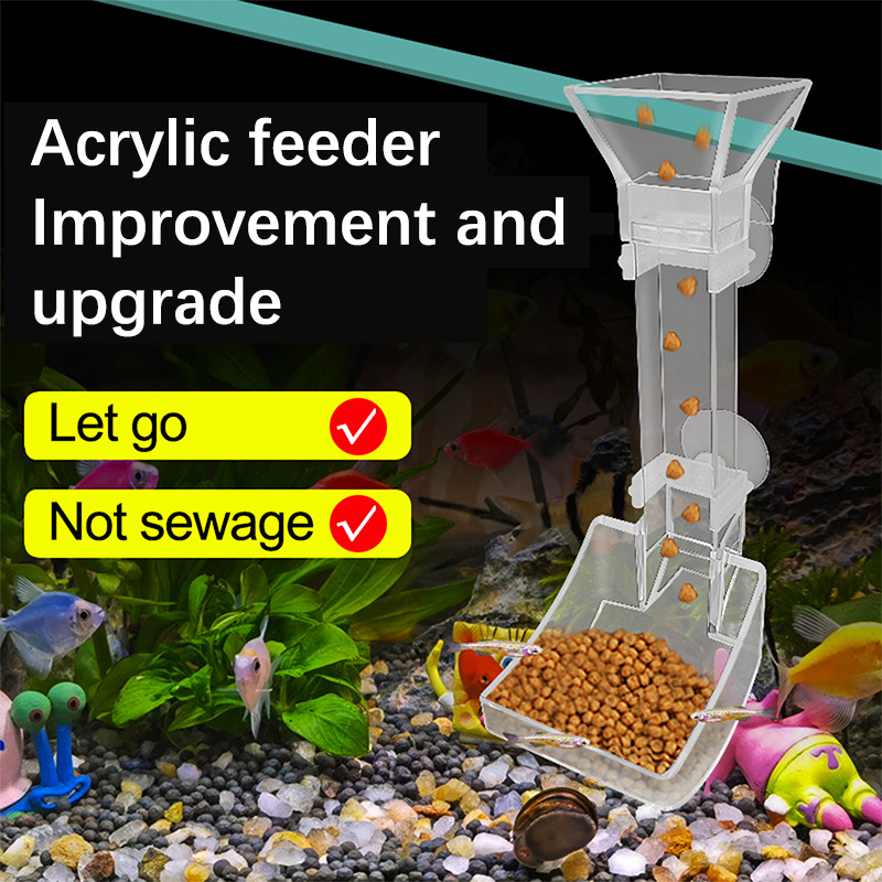 Aquarium Transparent Fütterung – Aquarium Fish Feeder Bewertung und Preis