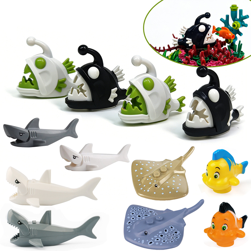 Aquarium-Siegelwal, Laternenfi – Aquarium Fish Zoo Bewertung und Preis