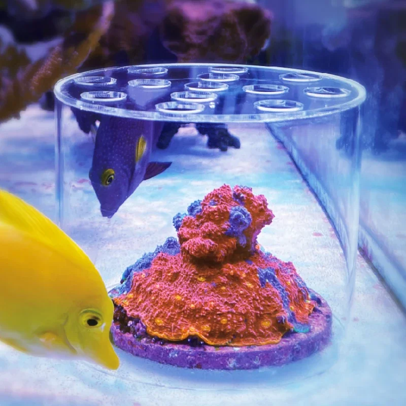 Vastocean Aquarium Acryl-Koral – Aquarium Fish Feeder Bewertung und Preis
