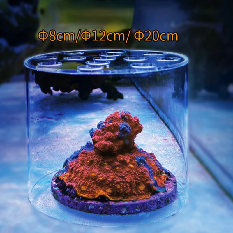 Vastocean Aquarium Acryl-Koral – Aquarium Fish Feeder Bewertung und Preis