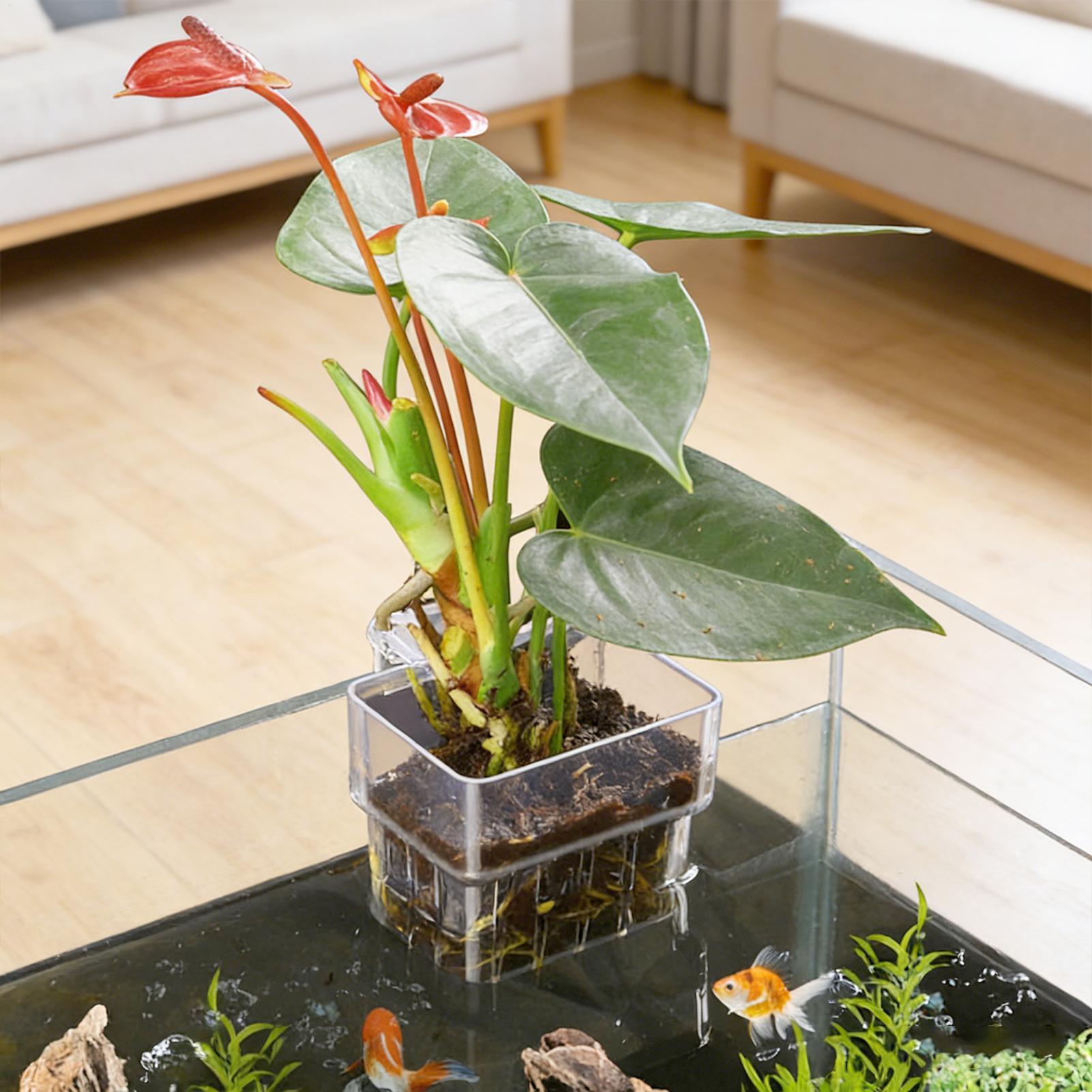Transparenter Hängbarer Aquari – Aquarium Fish Enrichment Bewertung und Preis
