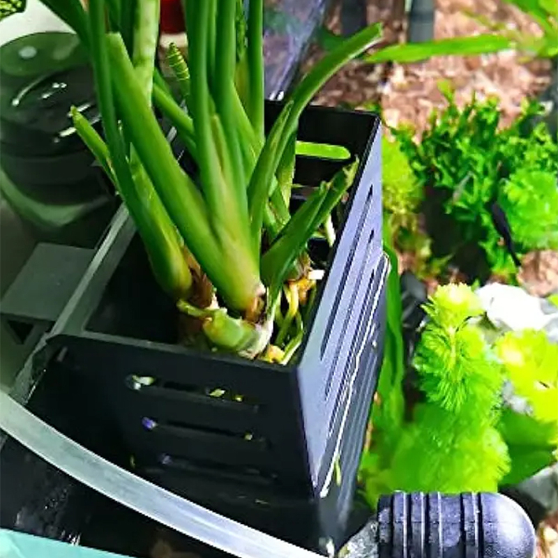 Haustier Aquarium Dekorationen – Aquarium Fish Enrichment Bewertung und Preis
