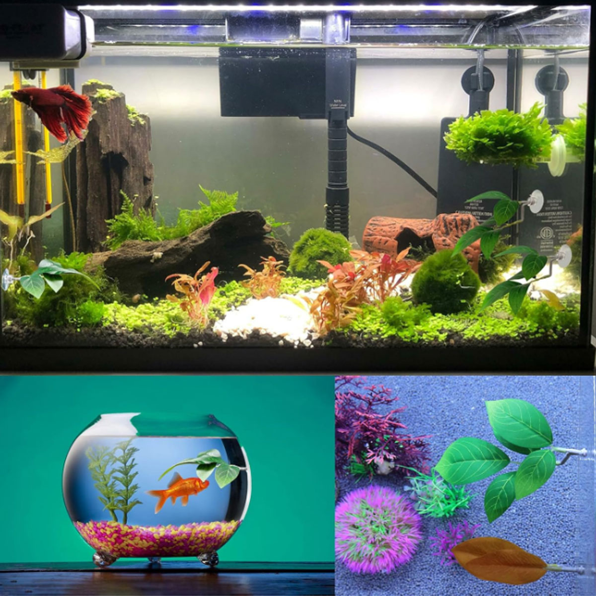 1 Stück Betta-Fisch-Hängematte – Aquarium Fish Enrichment Bewertung und Preis
