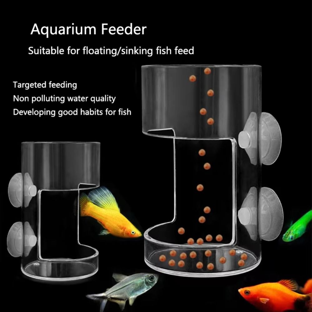 Acryl-Aquarium-Futterring Tran – Aquarium Fish Feeder Bewertung und Preis