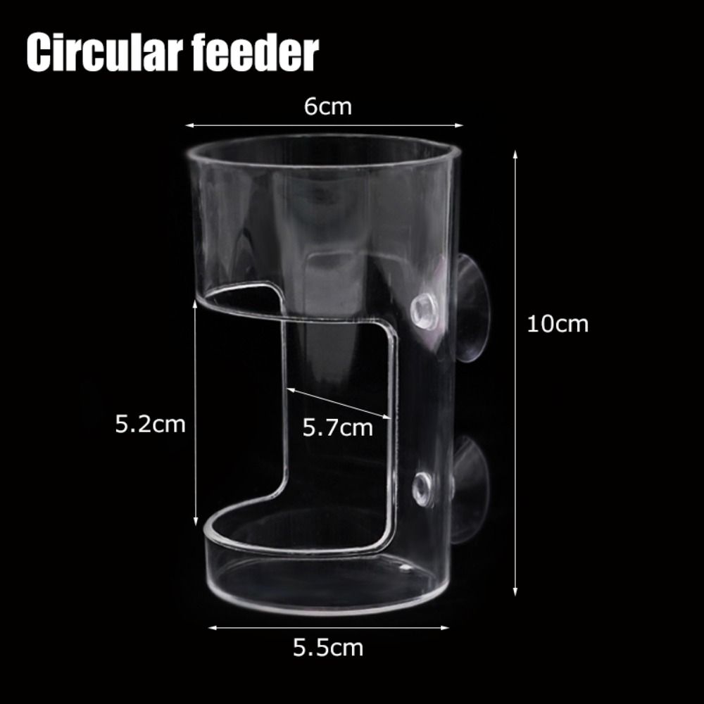 Acryl-Aquarium-Futterring Tran – Aquarium Fish Feeder Bewertung und Preis
