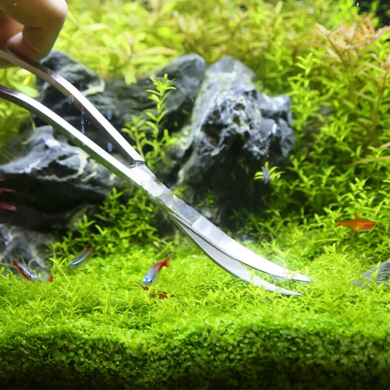 Aquarium Schere Werkzeuge Aqua – Aquarium Fish Diseases Bewertung und Preis