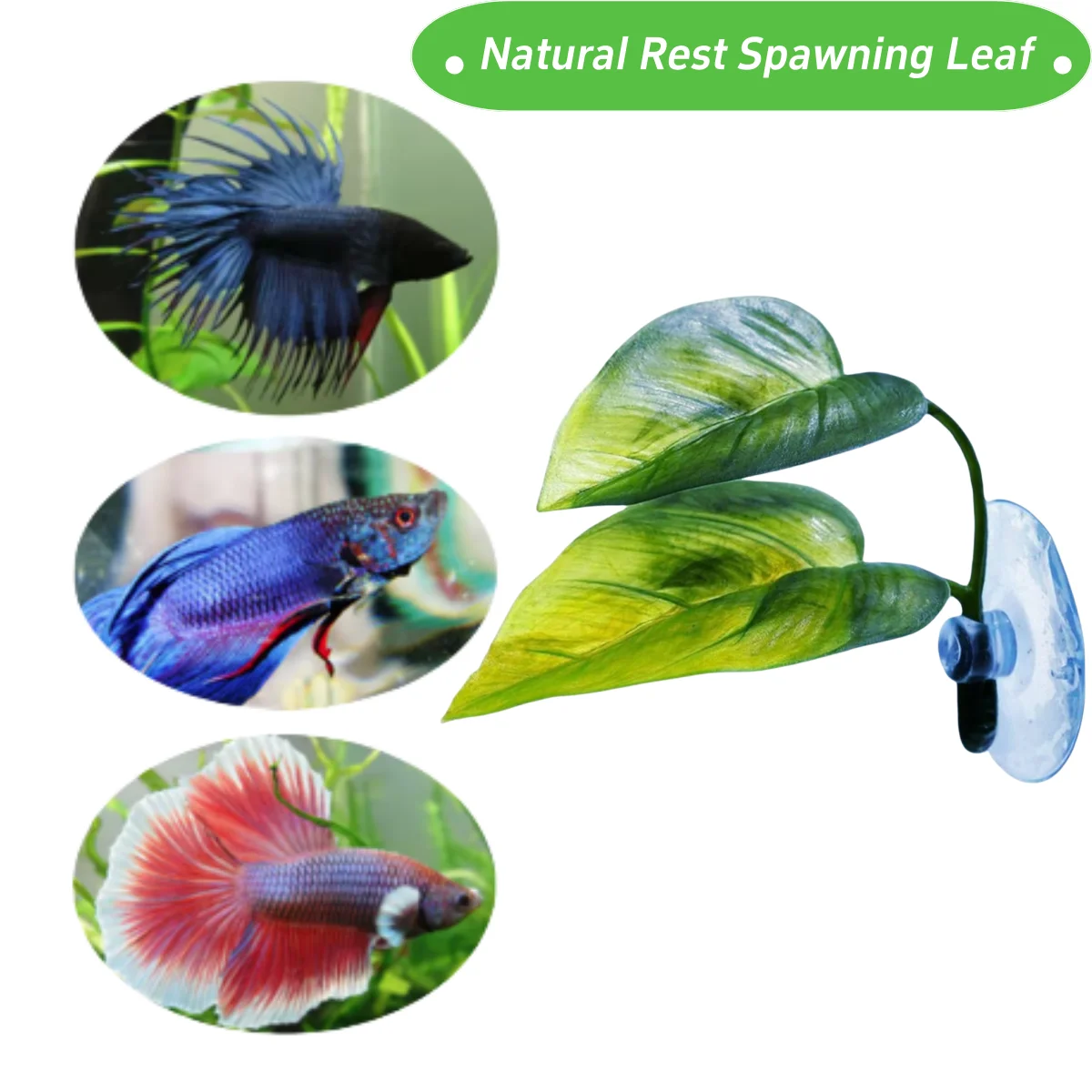 Haustiere Aquarium Dekor Betta – Aquarium Fish Enrichment Bewertung und Preis