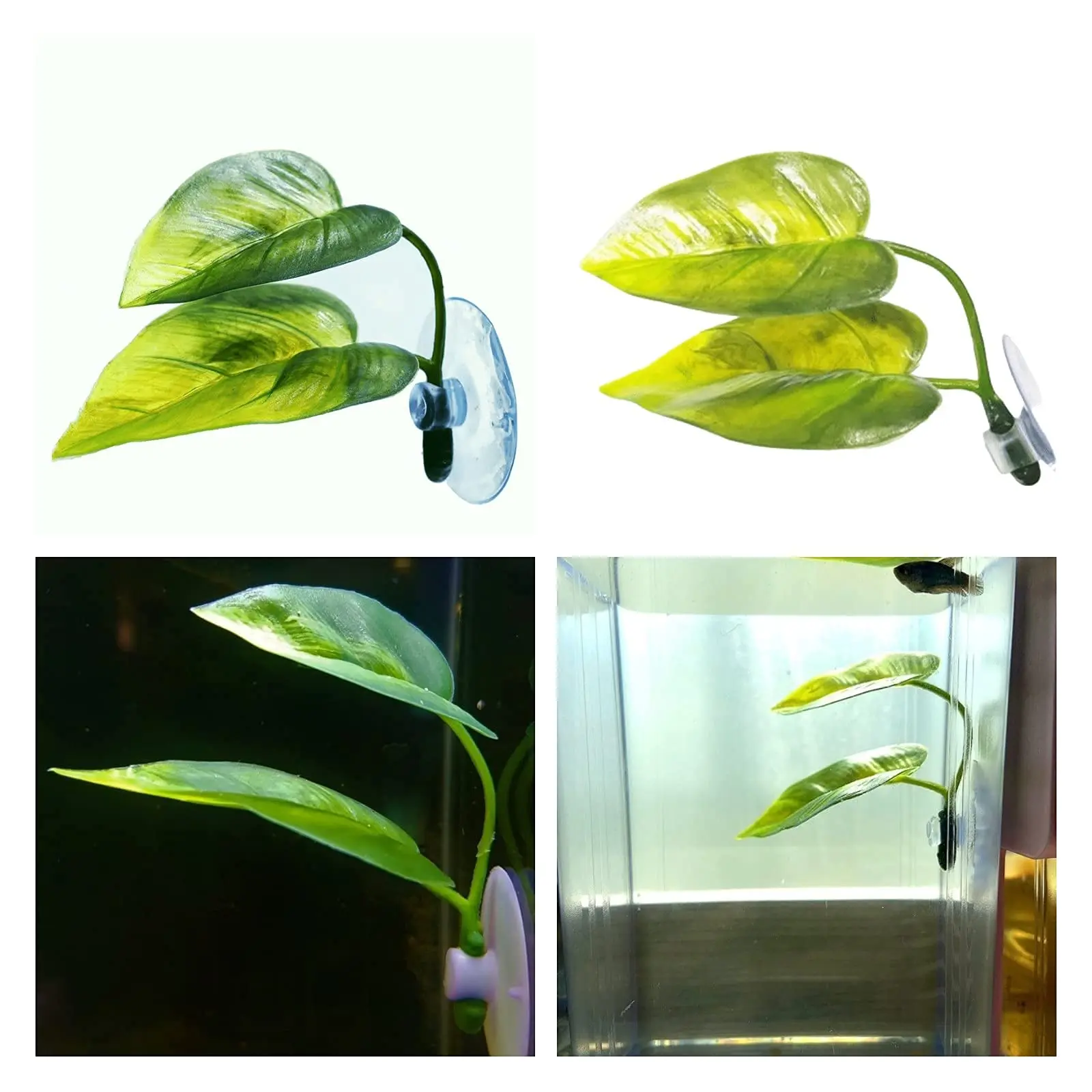 Haustiere Aquarium Dekor Betta – Aquarium Fish Enrichment Bewertung und Preis