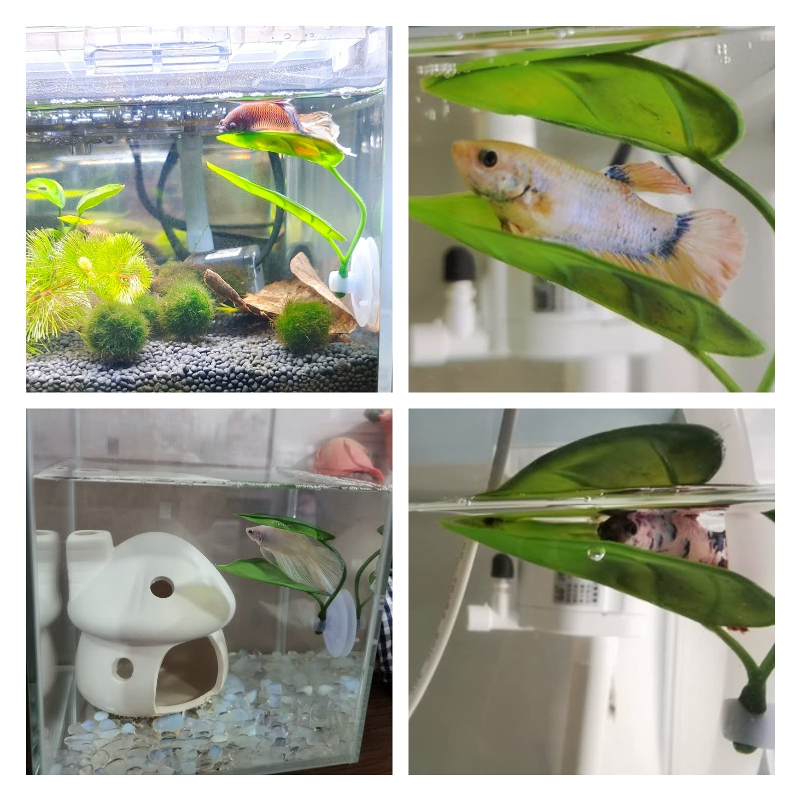 Haustiere Aquarium Dekor Betta – Aquarium Fish Enrichment Bewertung und Preis