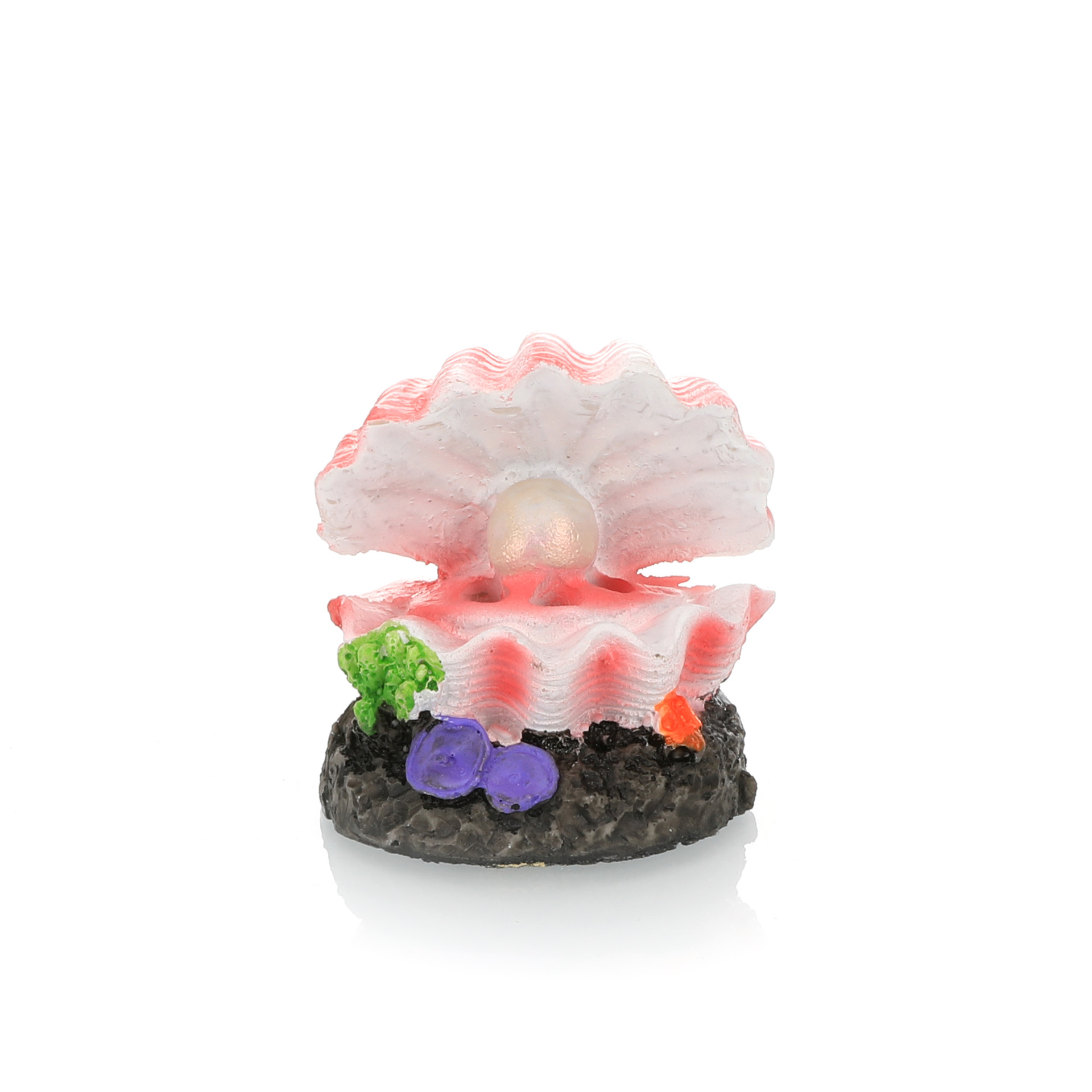 Aquarium Landschaftsbau Simula – Aquarium Fish Enrichment Bewertung und Preis