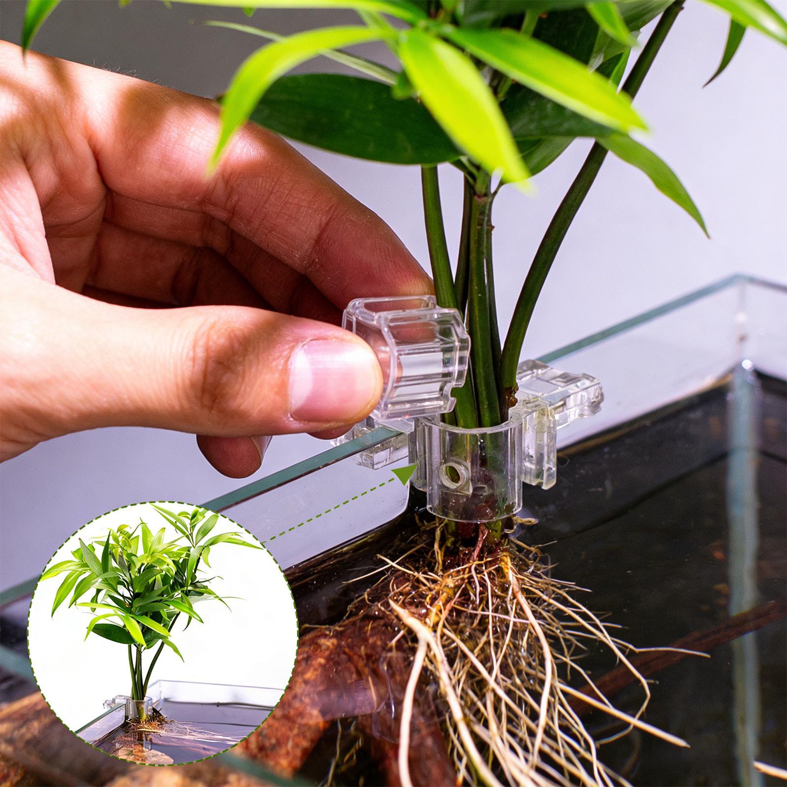 Mini-Aquarium-Pflanzgefäß, 6 S – Aquarium Fish Feeder Bewertung und Preis