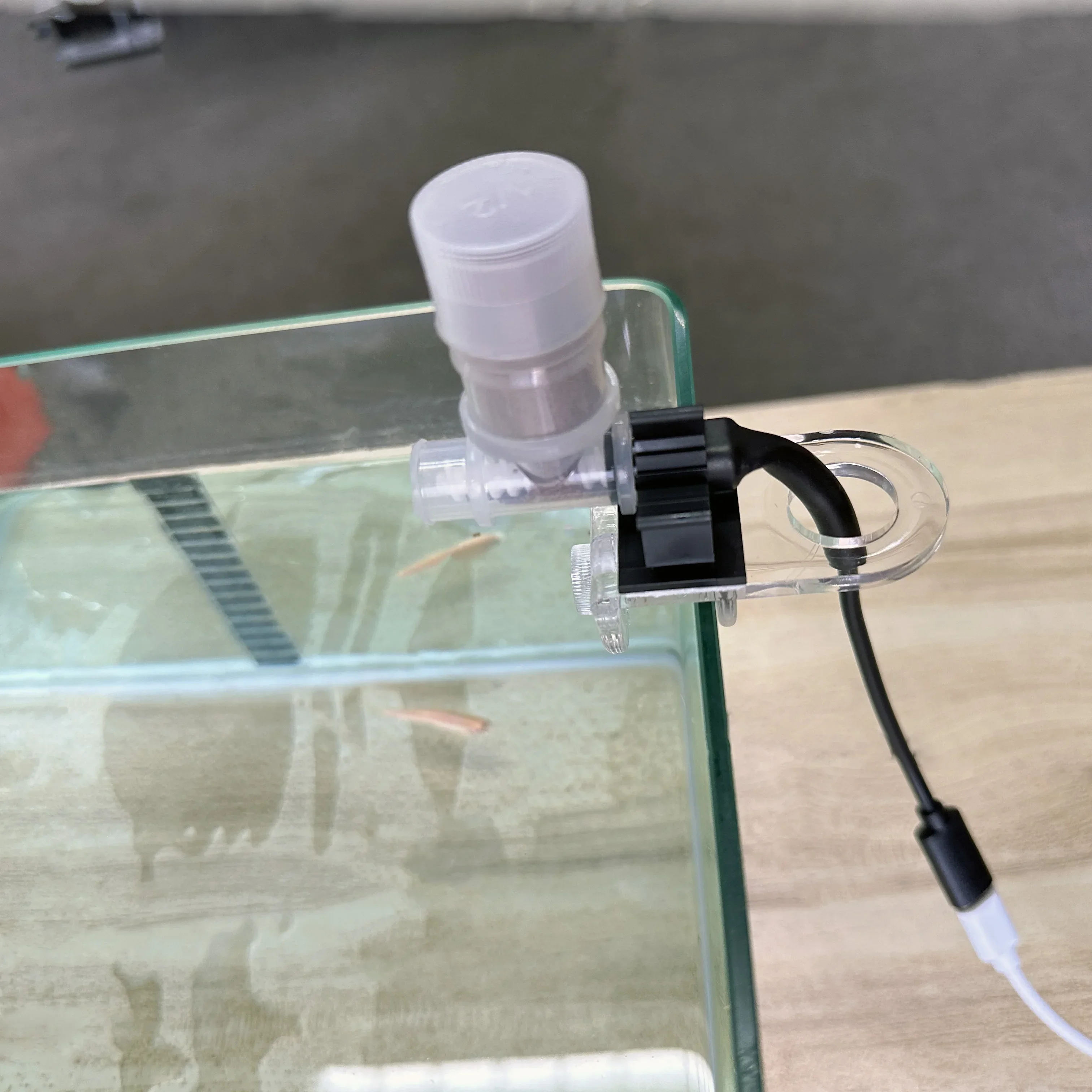Bester automatischer Fischfutt – Aquarium Fish Feeder Bewertung und Preis