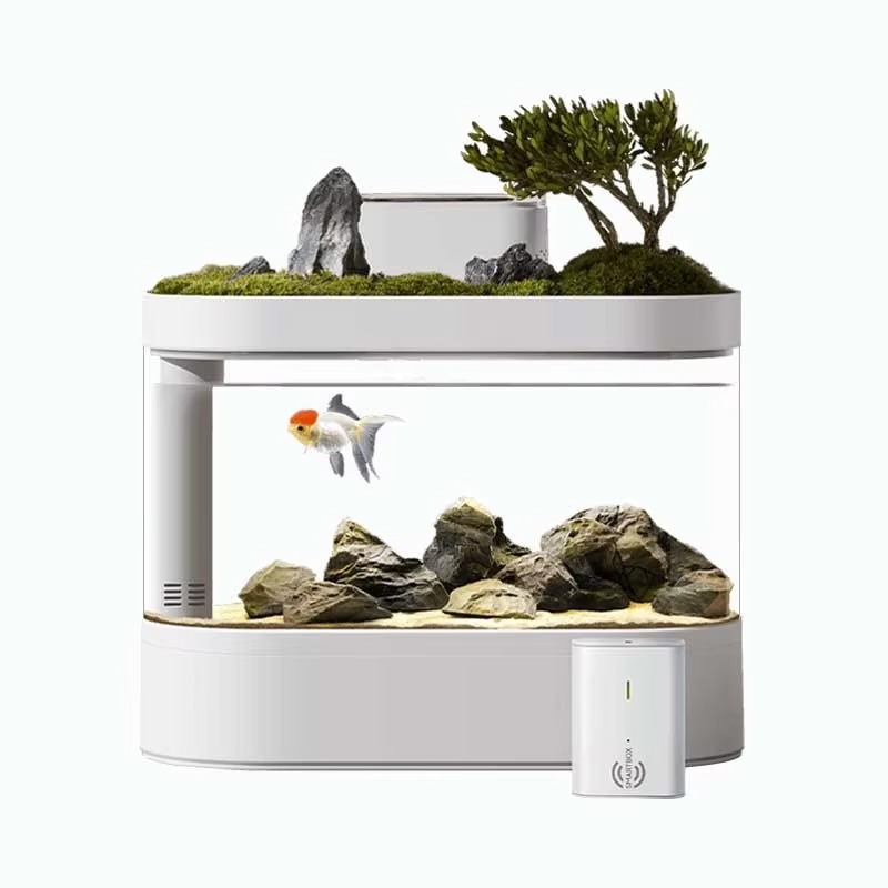 Desktop Smart Aquarium Fischbe – Aquarium Fish Feeder Bewertung und Preis