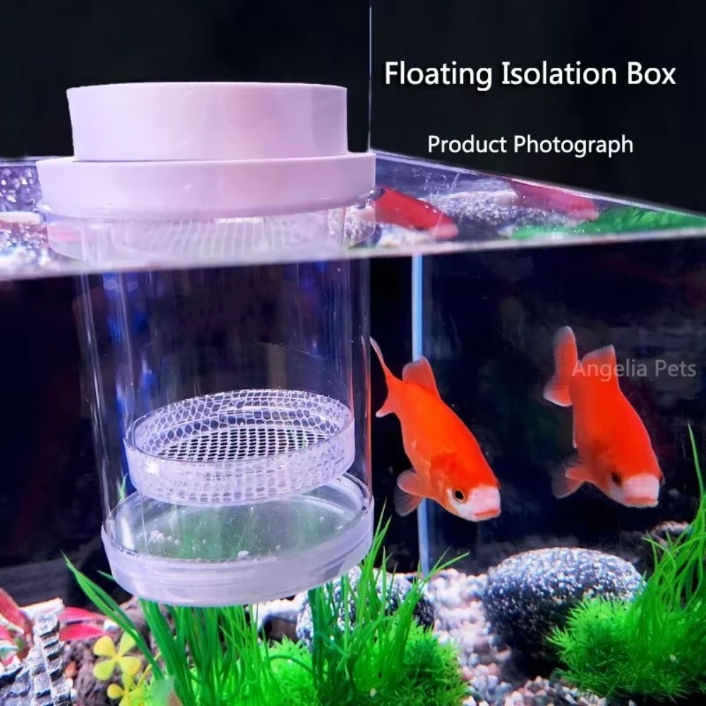 Kunststoff Schwimmende Fische  – Aquarium Fish Feeder Bewertung und Preis