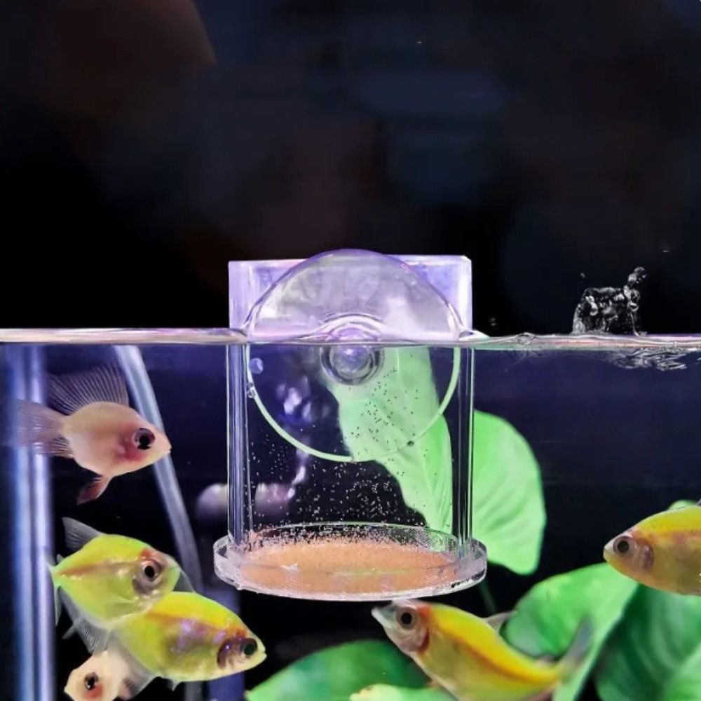 Rechteckiger/Runder Aquarium-S – Aquarium Fish Feeder Bewertung und Preis