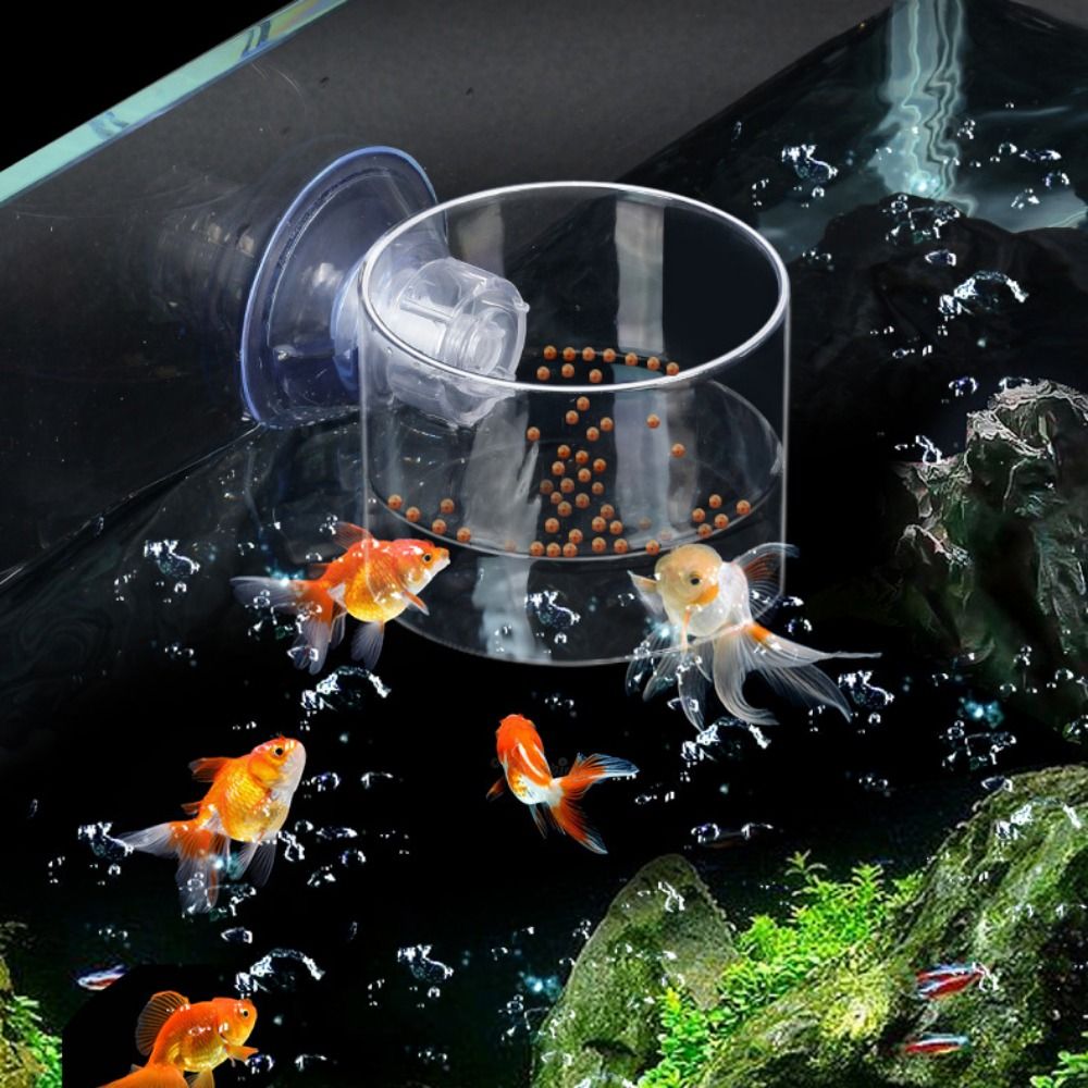 Rechteckiger/Runder Aquarium-S – Aquarium Fish Feeder Bewertung und Preis
