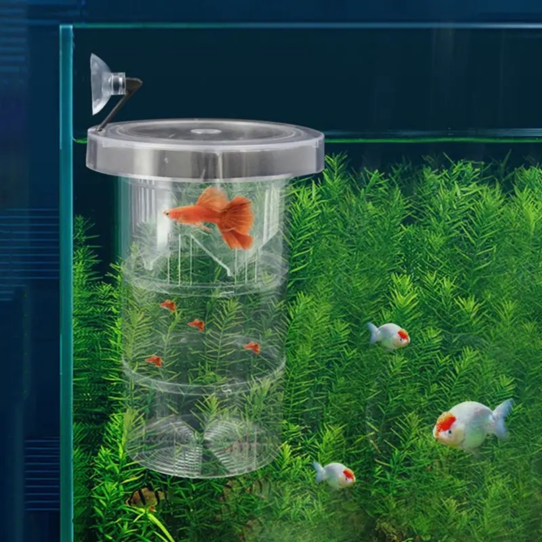 Acryl Schwimmende Fische Zucht – Aquarium Fish Feeder Bewertung und Preis
