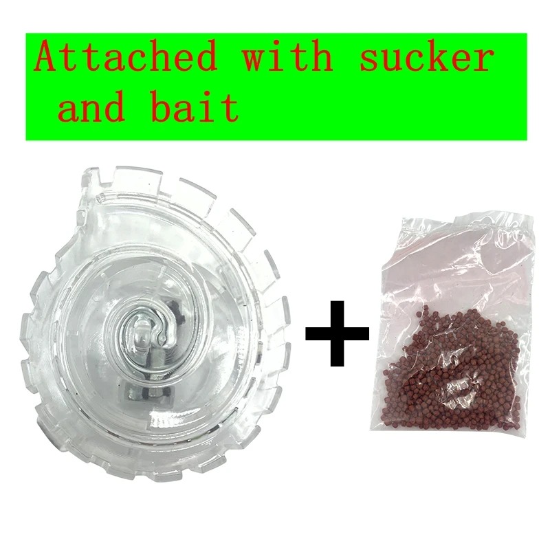 Aquarium Pflanze Schnecken fal – Aquarium Fish Diseases Bewertung und Preis