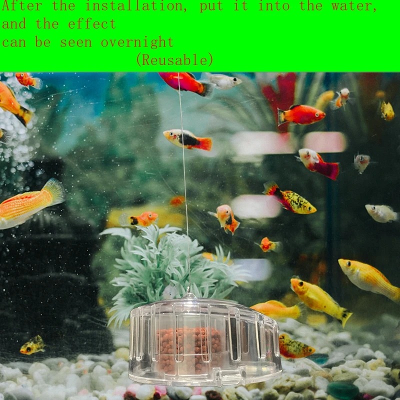 Aquarium Pflanze Schnecken fal – Aquarium Fish Diseases Bewertung und Preis