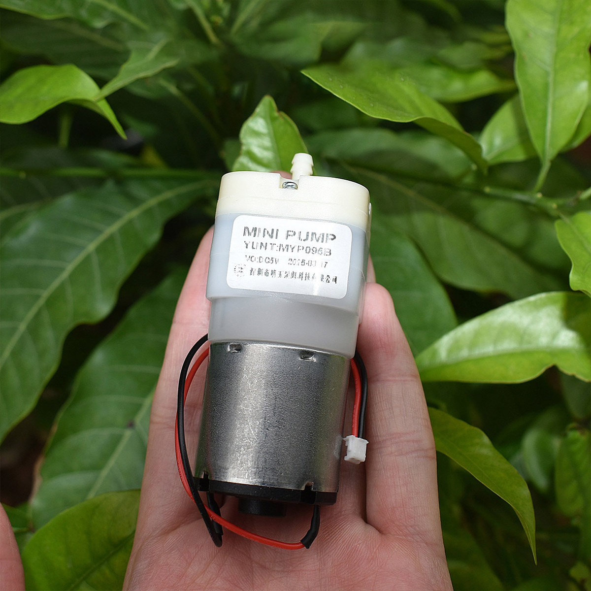 Mini 528 Luftpumpe DC 3,7V 5V  – Aquarium Fish Big Bewertung und Preis