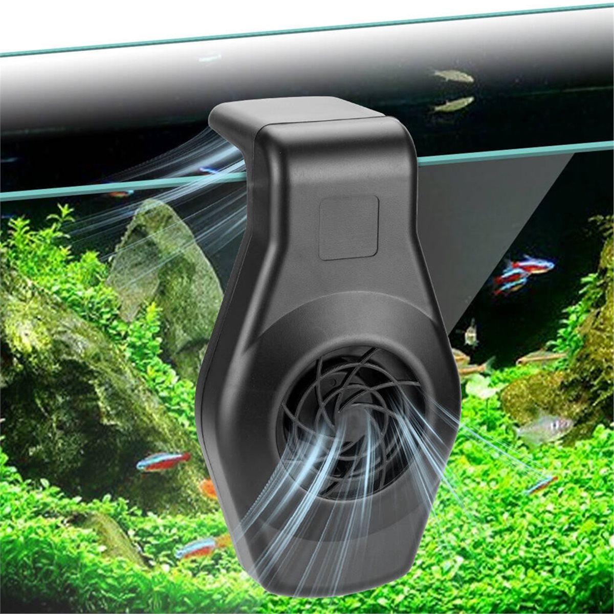 Großer Rabatt Mini-Aquarium-Kü – Aquarium Fish Big Bewertung und Preis