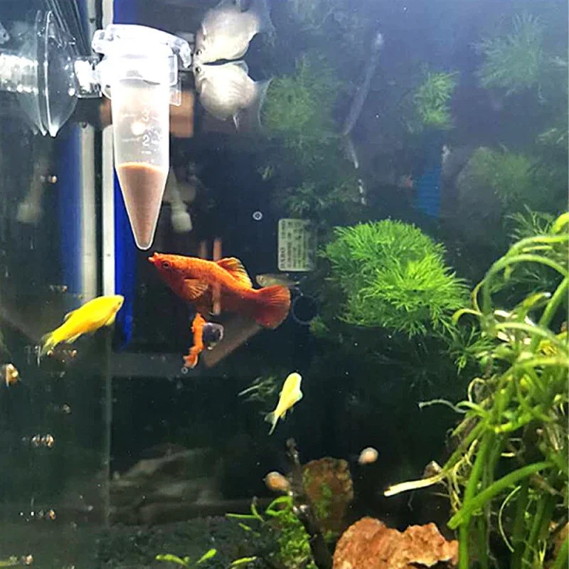 Automatische Fisch Feeder Kege – Aquarium Fish Feeder Bewertung und Preis